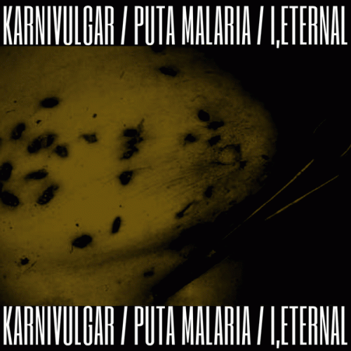 Puta Malaria : Karnivulgar - Puta Malaria - I,Eternal